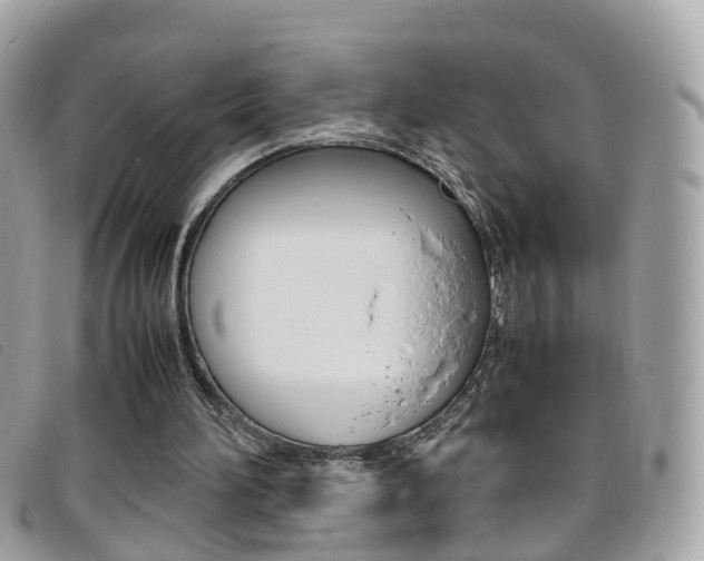 X0000095950196200801110923
