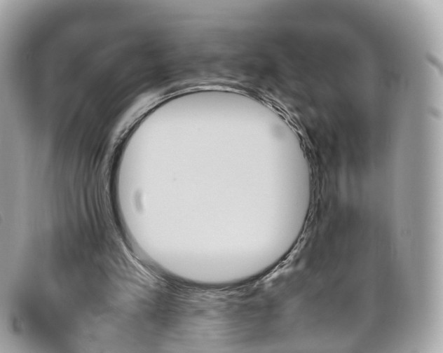 X0000095950197200801110923