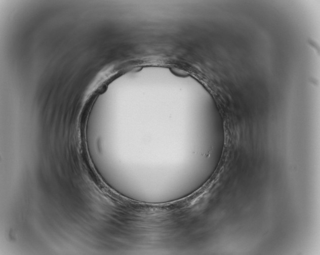 X0000095950198200801110923