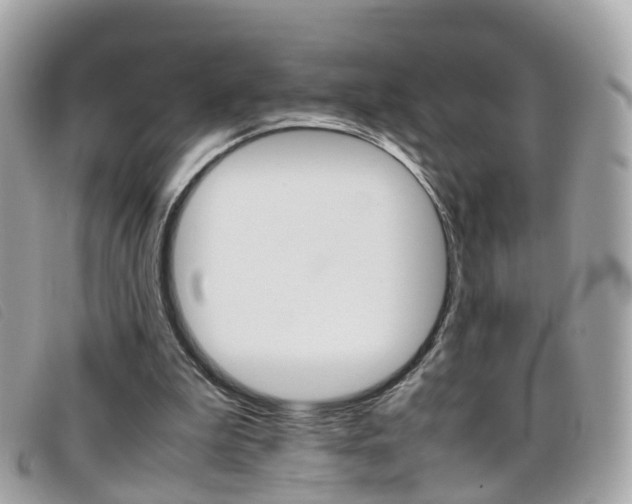 X0000095950199200801110923