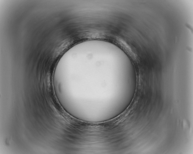 X0000095950202200801110923
