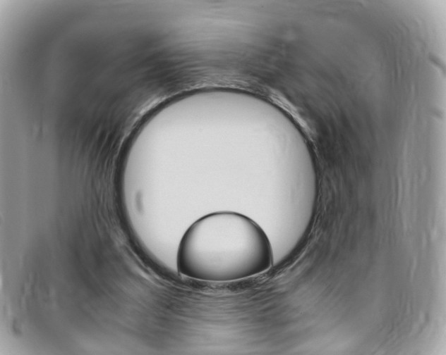 X0000095950203200801110923
