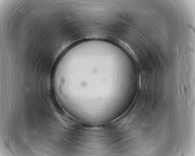 X0000095950204200801110923