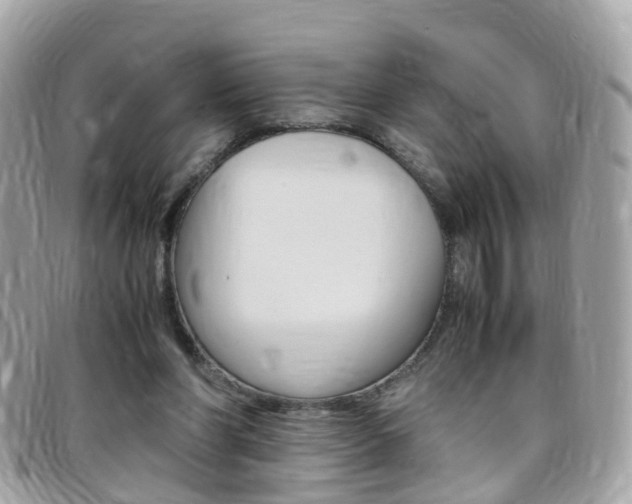 X0000095950206200801110923
