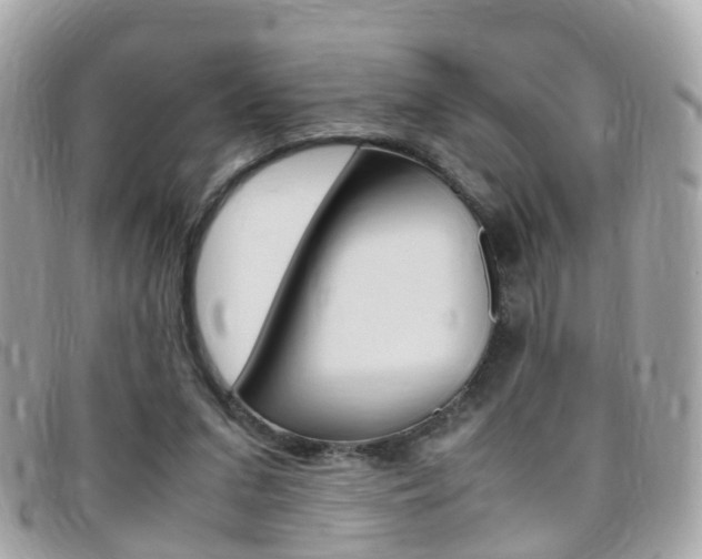 X0000095950207200801110923