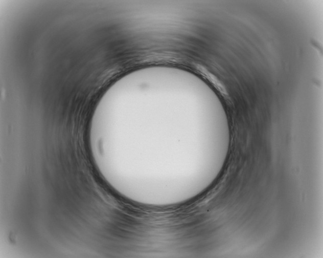 X0000095950209200801110923