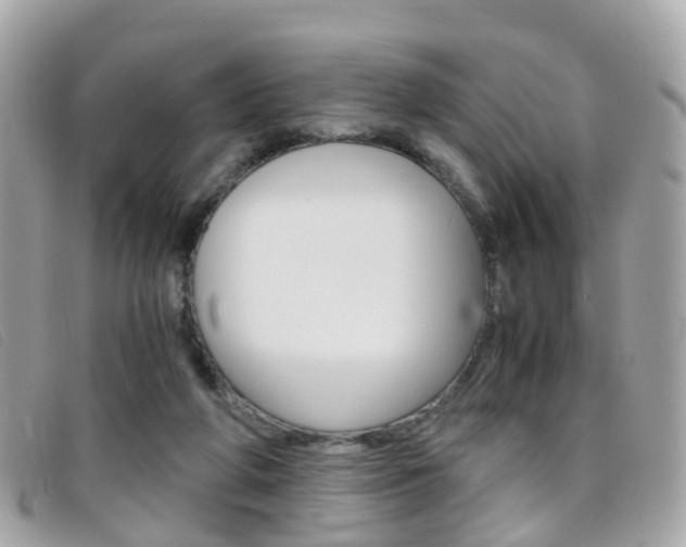 X0000095950210200801110923