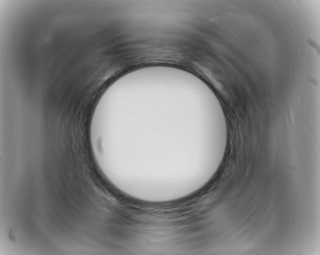 X0000095950211200801110923