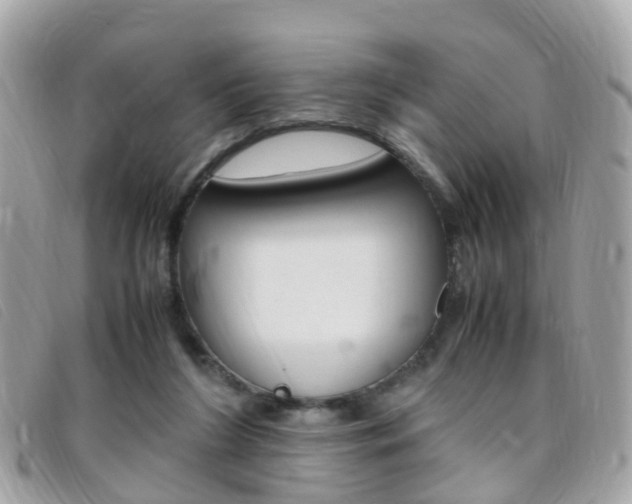 X0000095950212200801110923