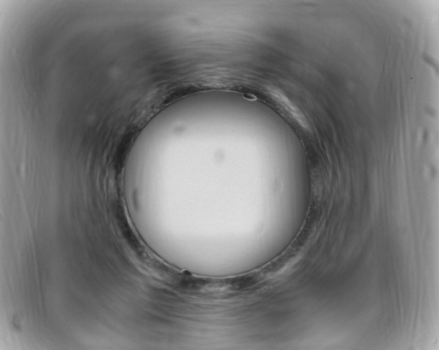 X0000095950213200801110923