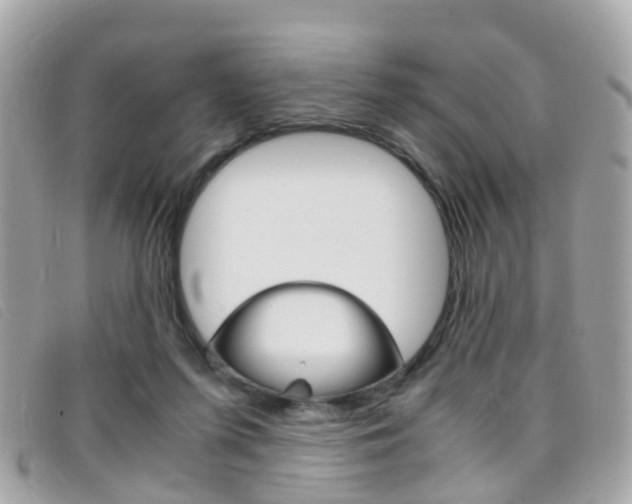 X0000095950215200801110923