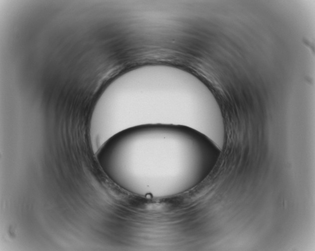 X0000095950216200801110923