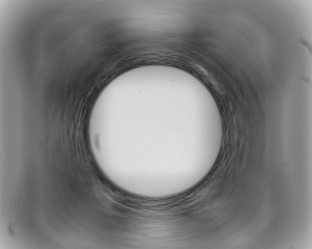 X0000095950217200801110923