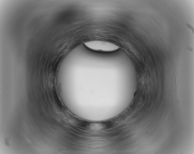 X0000095950218200801110923
