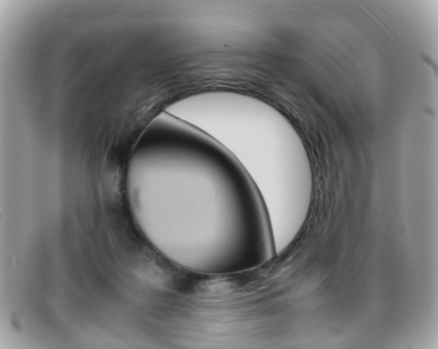 X0000095950219200801110923