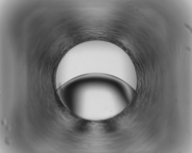 X0000095950221200801110923