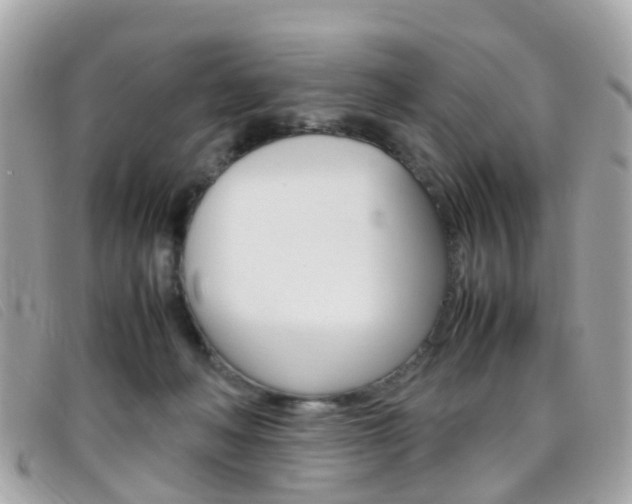X0000095950222200801110923