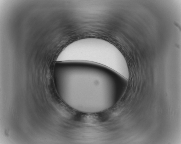 X0000095950223200801110923