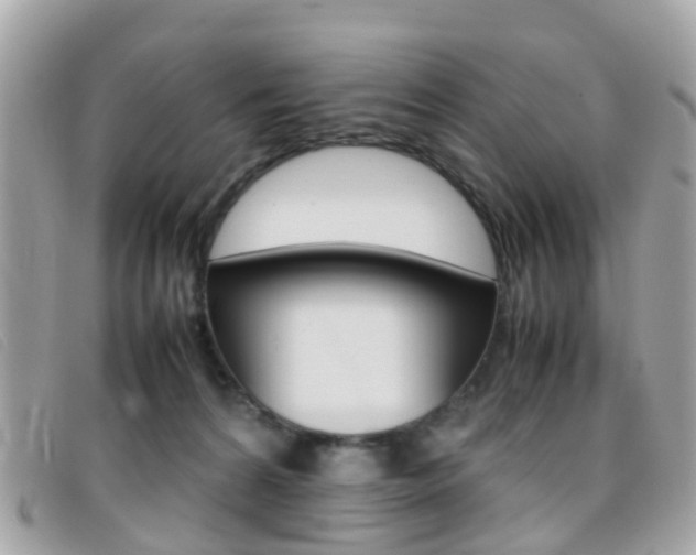 X0000095950224200801110923