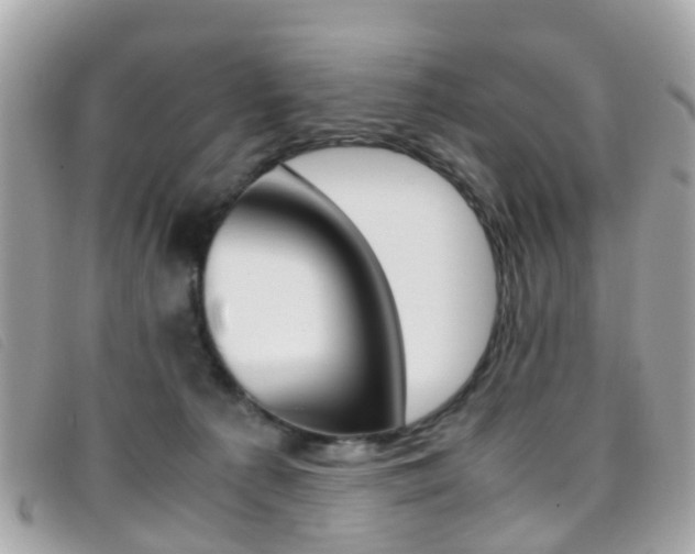 X0000095950225200801110923
