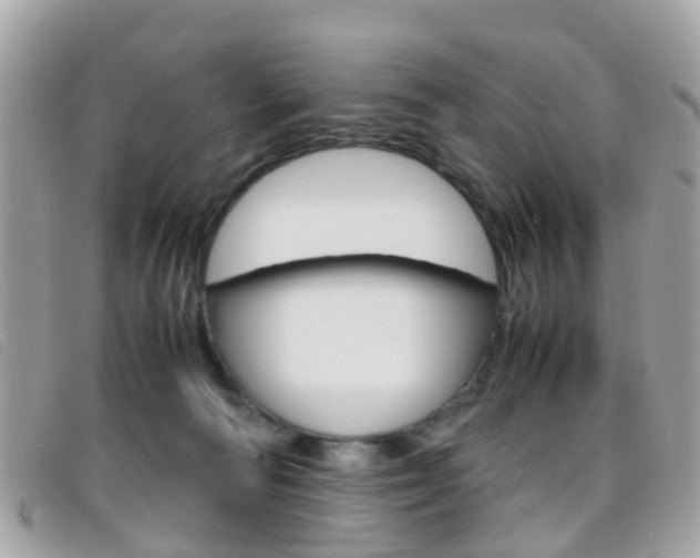 X0000095950226200801110923