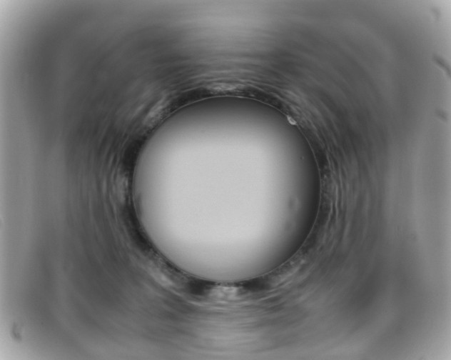X0000095950227200801110923