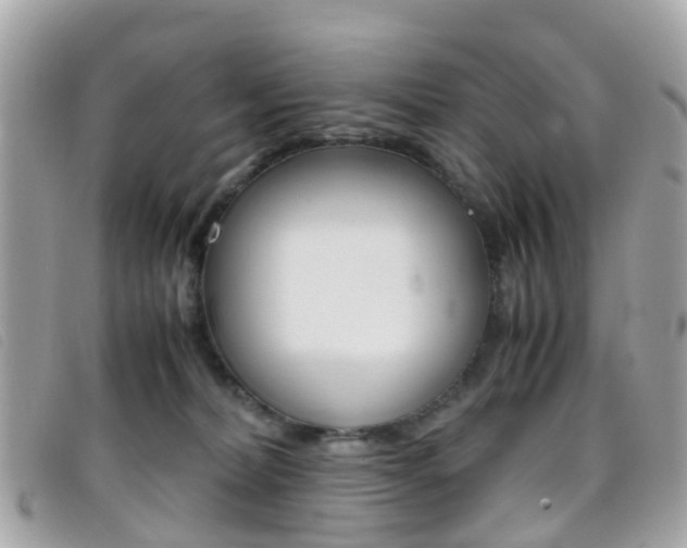 X0000095950228200801110923