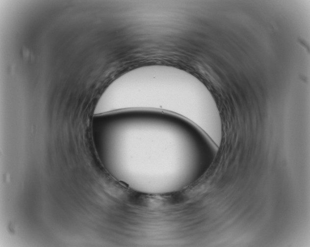 X0000095950229200801110923