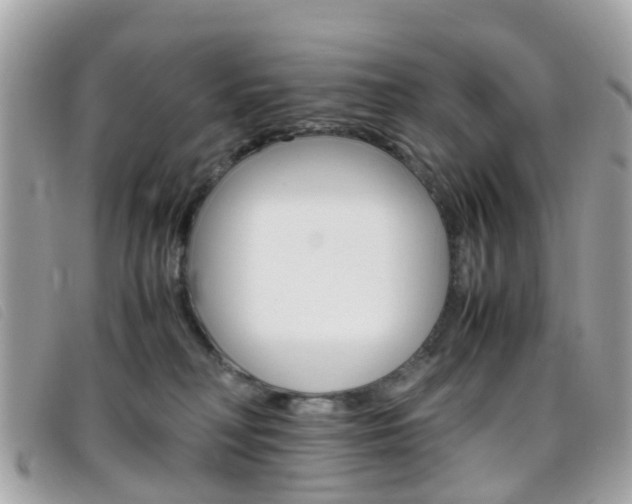 X0000095950230200801110923