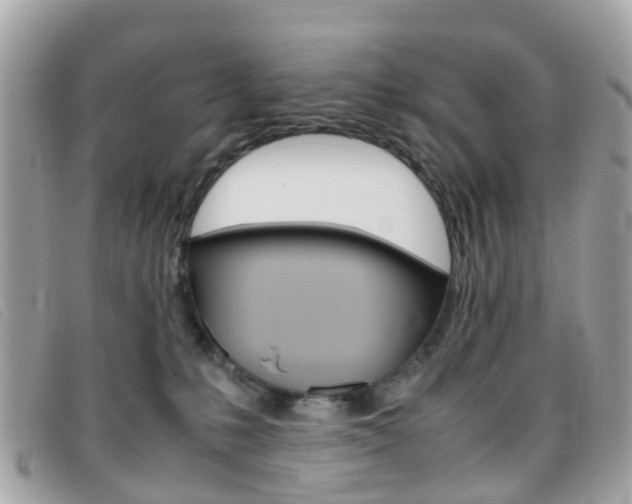 X0000095950231200801110923