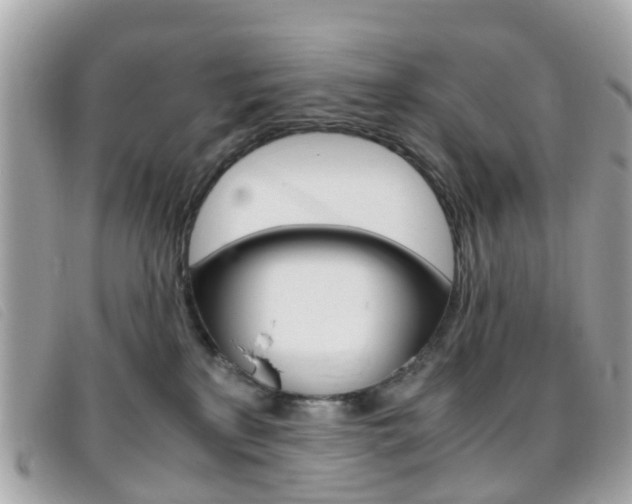 X0000095950233200801110922