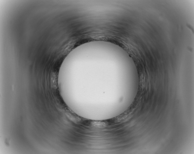 X0000095950234200801110922
