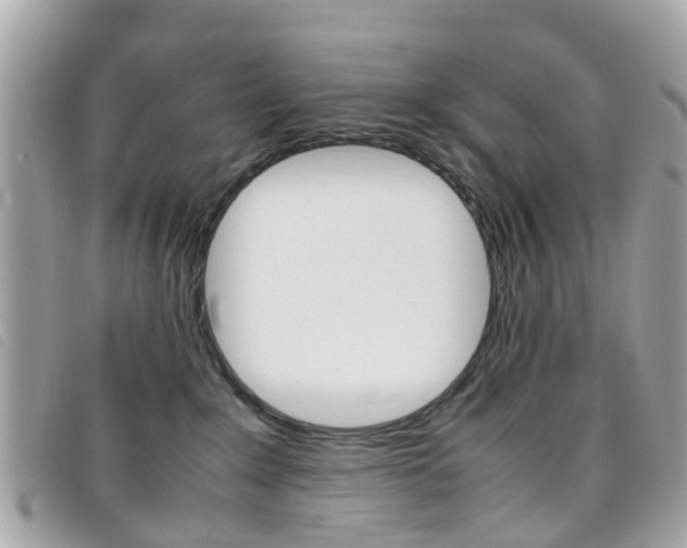 X0000095950235200801110922