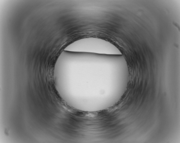 X0000095950236200801110922