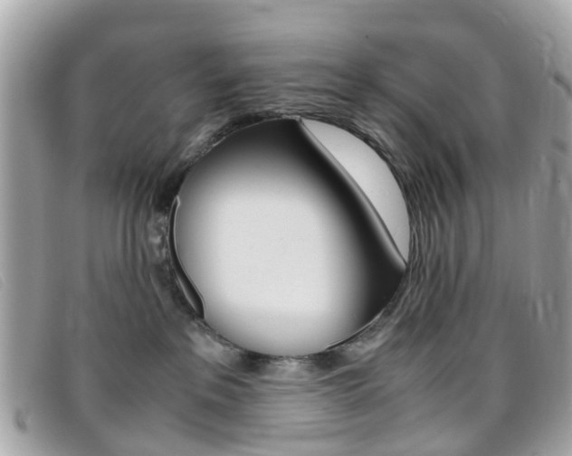 X0000095950237200801110922
