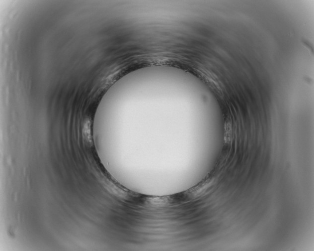 X0000095950238200801110922