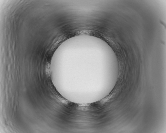 X0000095950240200801110922