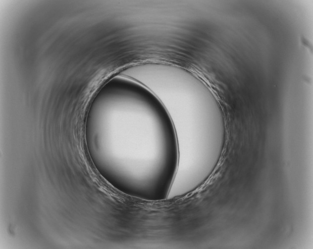 X0000095950241200801110922