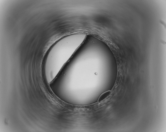 X0000095950242200801110922