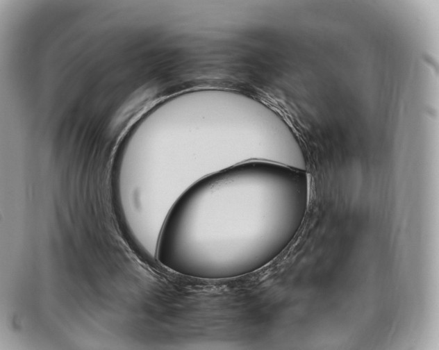 X0000095950243200801110922