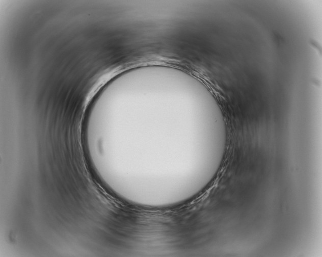 X0000095950244200801110922