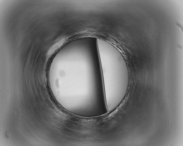 X0000095950245200801110922