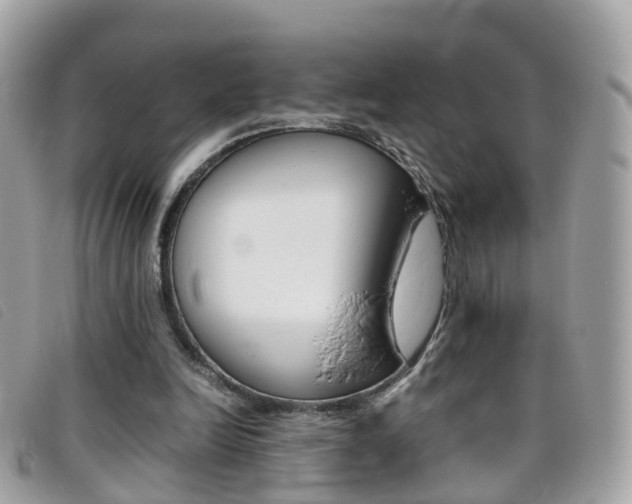 X0000095950246200801110922