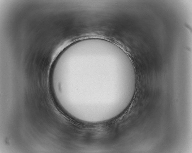 X0000095950248200801110922