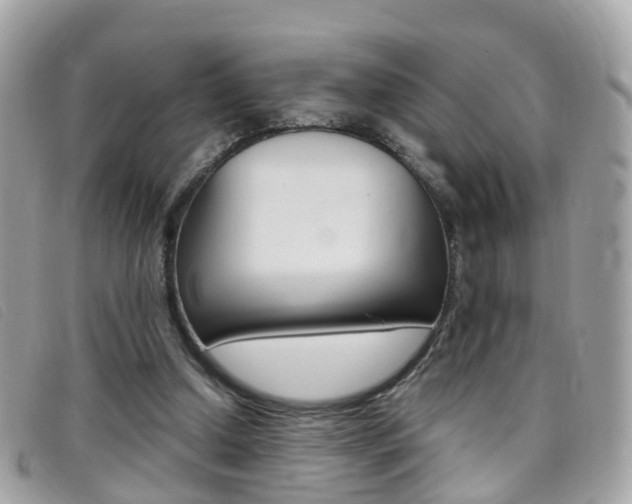 X0000095950250200801110922