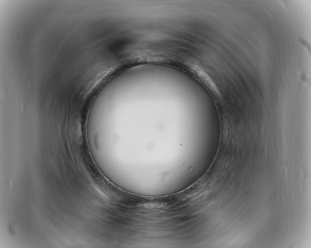 X0000095950251200801110922