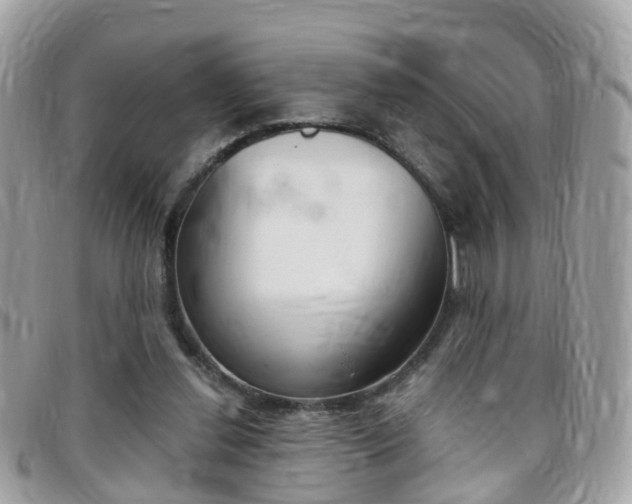 X0000095950252200801110922