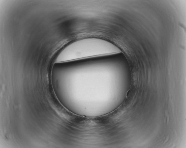 X0000095950254200801110922