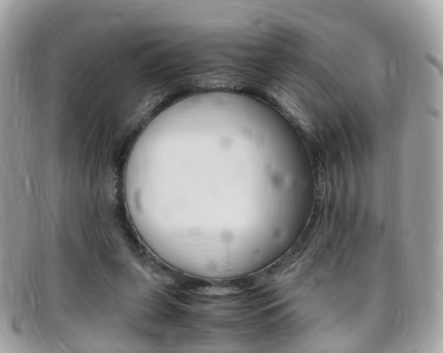 X0000095950255200801110922