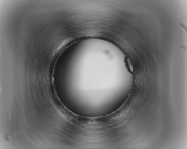X0000095950256200801110922
